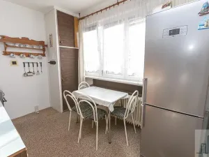 Prodej bytu 2+1, Litvínov, Tylova, 53 m2