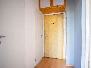 Prodej bytu 1+1, Plzeň - Jižní Předměstí, Čermákova, 39 m2