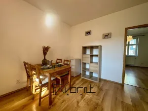 Pronájem bytu 1+1, Ostrava, Korunní, 53 m2