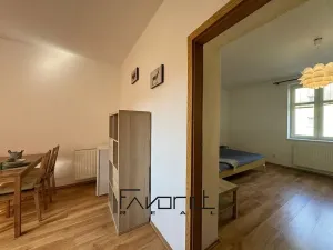 Pronájem bytu 1+1, Ostrava, Korunní, 53 m2