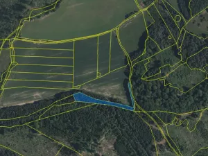 Prodej lesa, Volfířov - Brandlín, 3426 m2