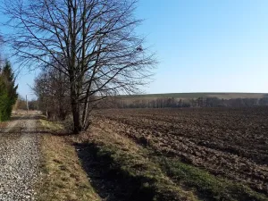 Prodej pozemku pro bydlení, Libina, 1382 m2