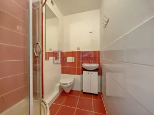 Pronájem bytu 1+kk, Jindřichův Hradec, sídliště U Nádraží, 25 m2