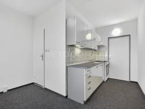 Pronájem bytu 2+1, Plzeň, Elišky Krásnohorské, 60 m2