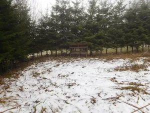 Dražba louky, Horní Planá, 3804 m2