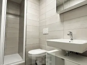 Pronájem bytu 1+kk, Plzeň, Boettingerova, 33 m2