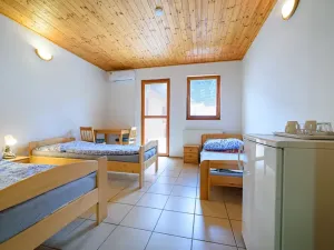 Prodej restaurace, Tábor, Lužnické údolí, 694 m2