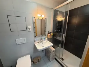 Pronájem bytu 1+kk, Jihlava, Vrchlického, 33 m2