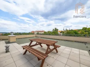 Pronájem bytu 1+kk, Praha - Střešovice, Myslbekova, 30 m2