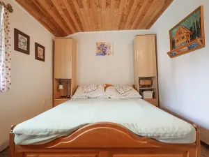 Prodej rodinného domu, Březina, 300 m2