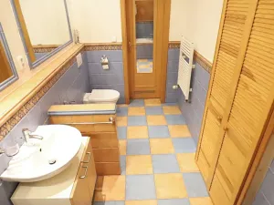 Pronájem bytu 2+kk, Praha - Nové Město, Koubkova, 52 m2