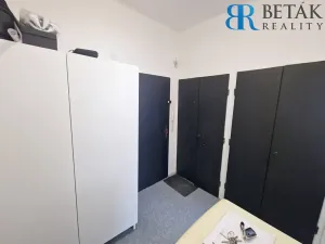 Pronájem bytu 1+1, Přerov, Dvořákova, 35 m2