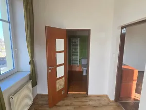 Pronájem bytu 1+kk, Brno, Plotní, 40 m2