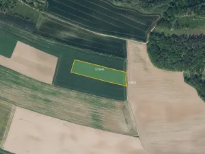 Prodej pole, Bohuslavice, 30834 m2