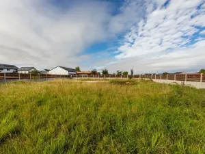 Prodej pozemku pro bydlení, Sibřina, Zelná, 867 m2