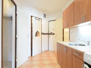 Pronájem bytu 1+kk, Praha - Nusle, Lounských, 47 m2