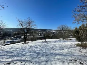 Prodej pozemku pro bydlení, Česká Třebová, 6000 m2