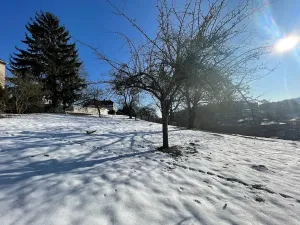Prodej pozemku pro bydlení, Česká Třebová, 6000 m2