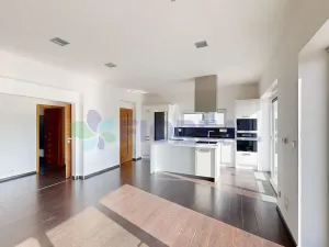 Prodej bytu 4+kk, Plzeň, V Hájku, 173 m2