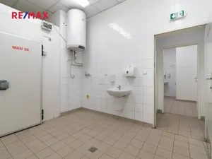 Pronájem obchodního prostoru, Plzeň, 181 m2