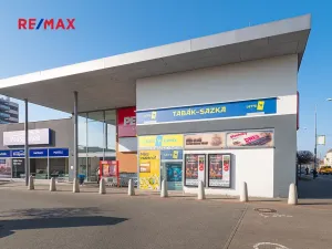 Pronájem obchodního prostoru, Plzeň, 181 m2