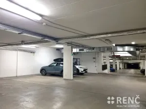 Pronájem garážového stání, Brno, Božetěchova, 14 m2