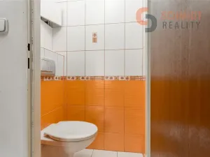 Prodej bytu 4+1, Břeclav, J. Palacha, 102 m2