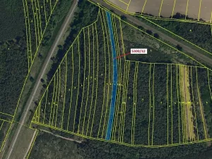 Dražba lesa, Bzenec, 4949 m2