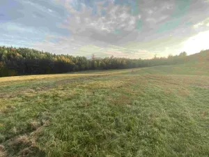 Dražba louky, Cvikov, 7470 m2