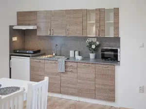 Pronájem apartmánu, Ostrava, Riegrova, 300 m2