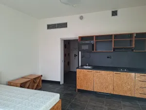 Pronájem bytu 1+kk, Praha, Pod altánem, 31 m2