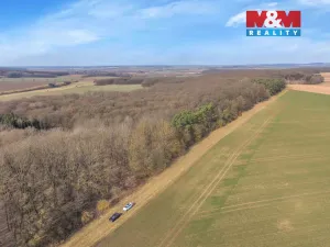 Prodej lesa, Slatiny, 6169 m2