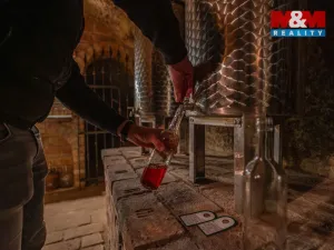 Prodej vinného sklepa, Chvalovice, 62 m2