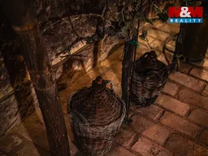 Prodej vinného sklepa, Chvalovice, 62 m2