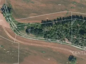 Prodej pole, Střelské Hoštice, 32521 m2