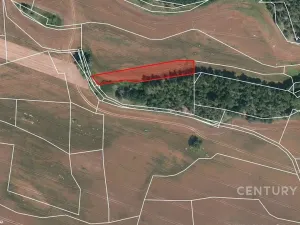 Prodej pole, Střelské Hoštice, 32521 m2