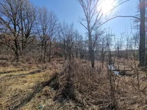 Prodej komerčního pozemku, Velká Polom, Okružní, 6038 m2