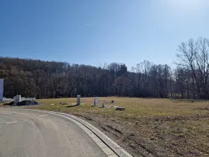 Prodej pozemku, Velká Polom, Okružní, 6038 m2