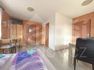 Prodej ubytování, Zlaté Hory, 330 m2