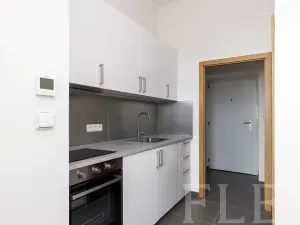Pronájem bytu 1+kk, Praha - Žižkov, Seifertova, 29 m2