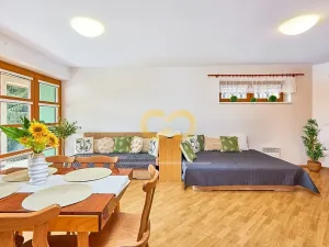 Prodej bytu 1+kk, Horní Planá, Jenišov, 43 m2