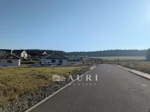 Prodej pozemku pro bydlení, Olešná, 1130 m2