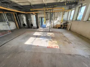 Prodej - jiné, Znojmo, Pod Soudním vrchem, 152 m2