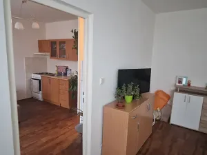 Pronájem bytu 1+1, Krupka, Teplická, 36 m2