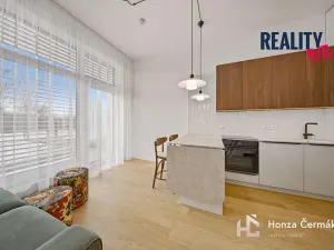 Pronájem bytu 1+kk, Brno, 35 m2