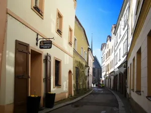 Prodej rodinného domu, Pardubice, Kostelní, 300 m2