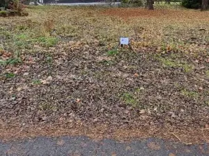 Prodej pozemku pro bydlení, Karlova Studánka, 900 m2