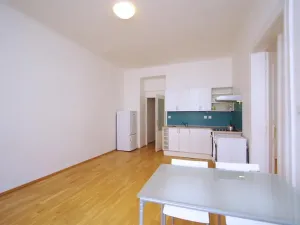 Pronájem bytu 2+kk, Praha - Žižkov, Kubelíkova, 46 m2
