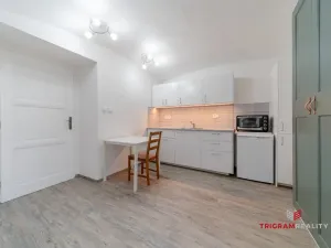 Pronájem bytu 1+kk, Hradec Králové, Dlouhá, 25 m2