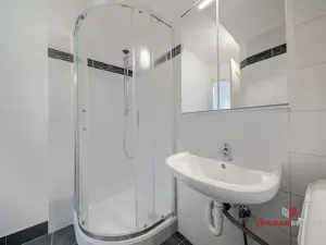 Pronájem bytu 1+kk, Hradec Králové, Dlouhá, 25 m2